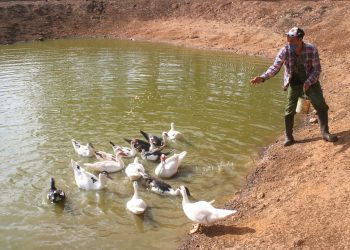 La finca se concretó en medio de grandes dificultades