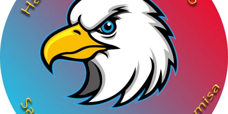 Halcones del Ariguanabo