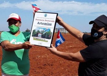 En pleno campo, aportando a la economía, las mujeres artemiseñas recibieron la Condición de Provincia destacada en la emulación por el 8 de Marzo / Foto tomada del perfil de Facebook de Nancy Wongfuncionaria de la dirección nacional en la FMC el Reconocimiento que nos acredita Provincia Destacada en la Emulación Nacional por el 8 de Marzo
