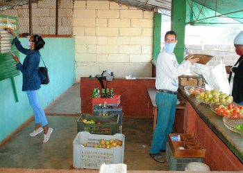 El control sobre las ventas debe ser diario, para eitar violaciones de precios y que la oferrta sea siempre de calidad / Foto: Humberto Lister