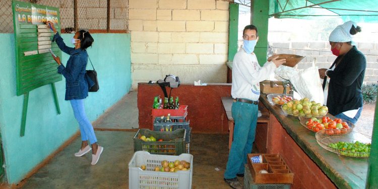 El control sobre las ventas debe ser diario, para eitar violaciones de precios y que la oferrta sea siempre de calidad / Foto: Humberto Lister
