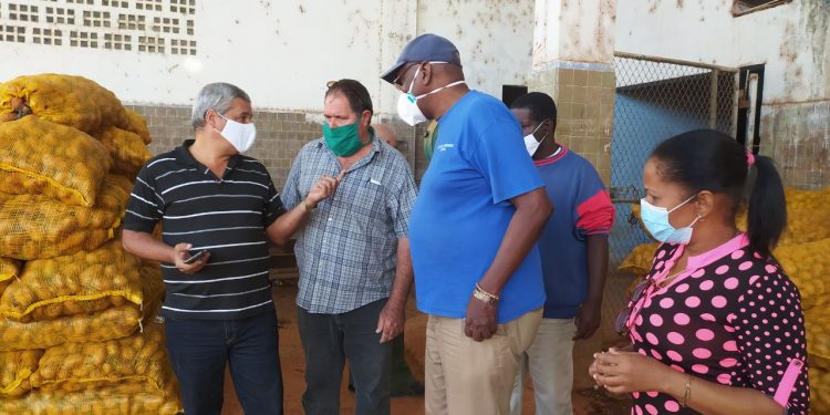 Solo el contrl sistemático logrará la estabilidad en los precios