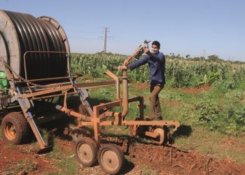 El sistema de riego por aspersión imita el agua de lluvia, con lo cual la calidad de la entrega y el ahorro de agua son muy superiores a lo que se logra con el aniego o la distribución por surcos / Foto: Otoniel Márquez