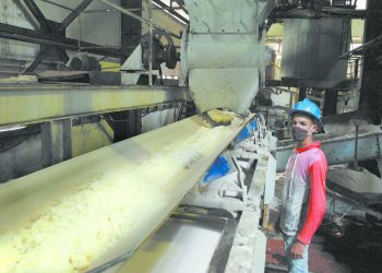 Vicisitudes de una zafra