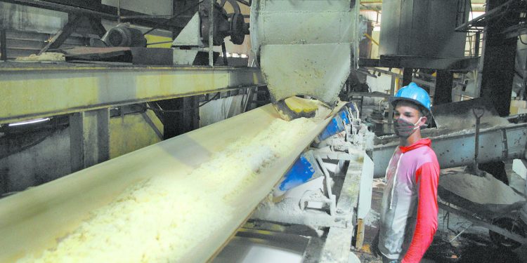 Vicisitudes de una zafra