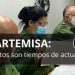 Analiza Consejo de Defensa Provincial situación epidemiológica del territorio