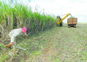 Vicisitudes de una zafra