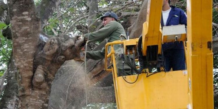 Nuestro Meteoro contra los desastres