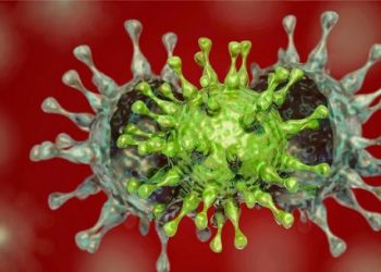 Circulan en Artemisa tres cepas de Sars – CoV – 2