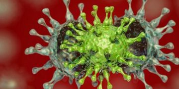 Circulan en Artemisa tres cepas de Sars – CoV – 2