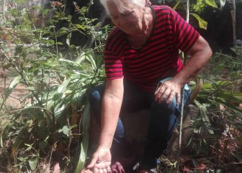 Ángela contempla su extraña flor