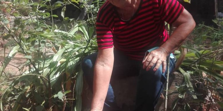 Ángela contempla su extraña flor