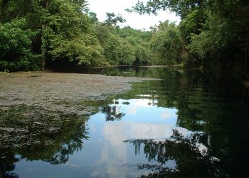 El nivel estático promedio de la cuenca Ariguanabo continúa en descenso