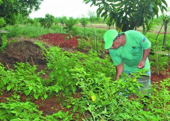 Así son nuestros campesinos