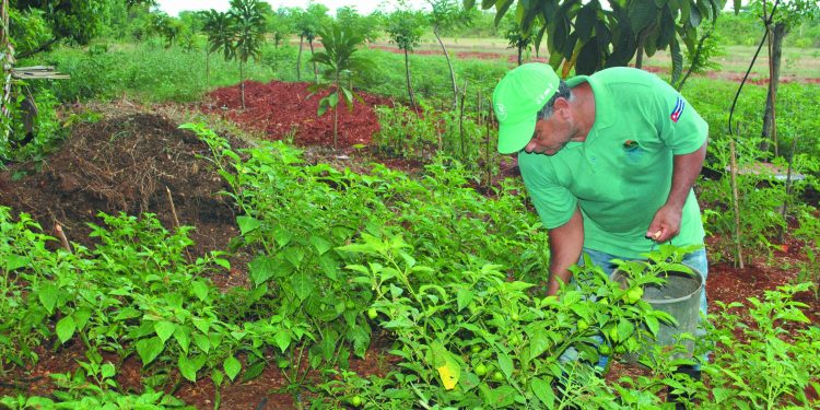 Así son nuestros campesinos