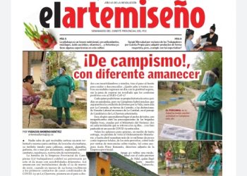 Edición 19 de el artemiseño