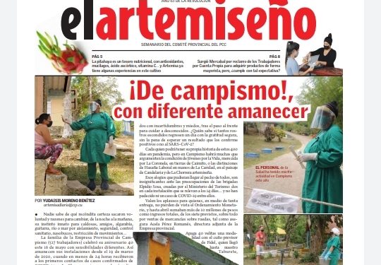 Edición 19 de el artemiseño