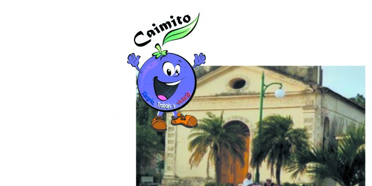 Caimito