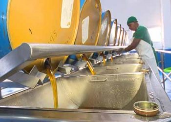 Insensato quedarse con la miel en los labios