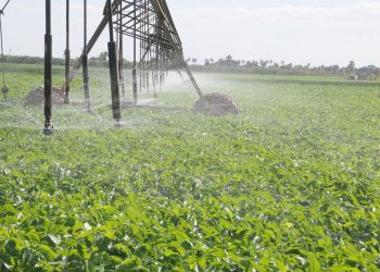 De 150 000 a millón y medio de pesos subió la factura de la electricidad