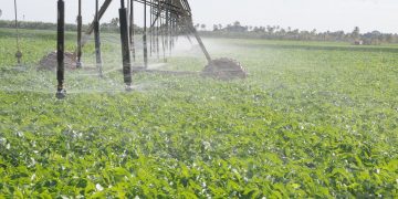 De 150 000 a millón y medio de pesos subió la factura de la electricidad