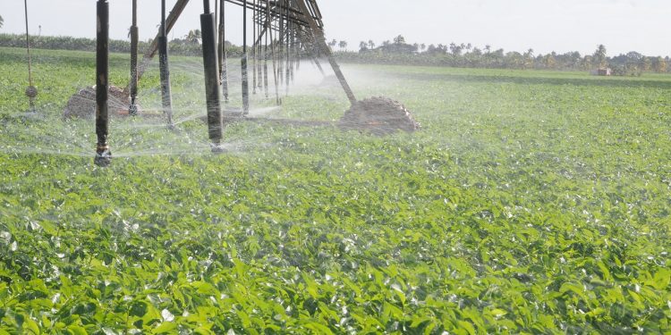 De 150 000 a millón y medio de pesos subió la factura de la electricidad