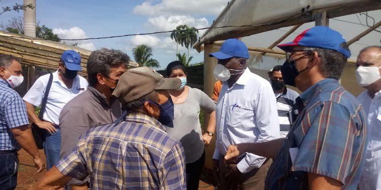 Salvador Valdés Mesa en recorrido por el Proyecto Agroecológico Finca Martha, en Caimito