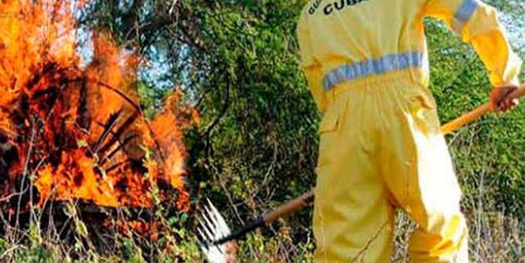 Foto: Tomada de Prensa Latina