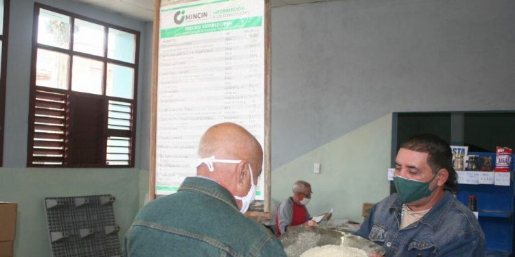 Sin descanso en Artemisa ante cercanía de Elsa