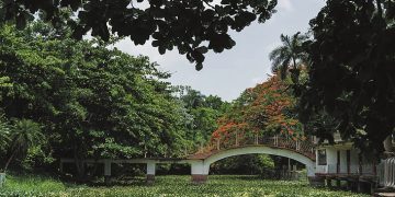 HACE tiempo el río Ariguanabo espera una noticia como esta