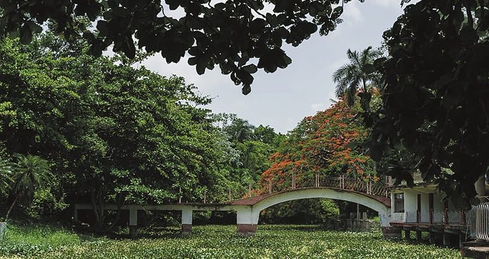 HACE tiempo el río Ariguanabo espera una noticia como esta