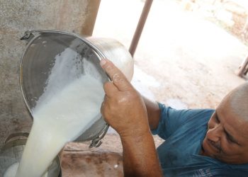 La provincia tiene un compromiso con la industria de nueve millones 566 000 litros de leche en 2021 / Foto: Otoniel Márquez
