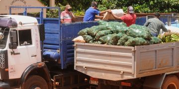 10 toneladas de alimentos (malanga, boniato, yuca, calabaza, ají, aguacate y hortalizas) serán donadas al Hospital Pediátrico de #Matanzas, y al centro de aislamiento enclavado en la Facultad de Ciencias Médicas de esta provincia / Foto: Otoniel Márquez
