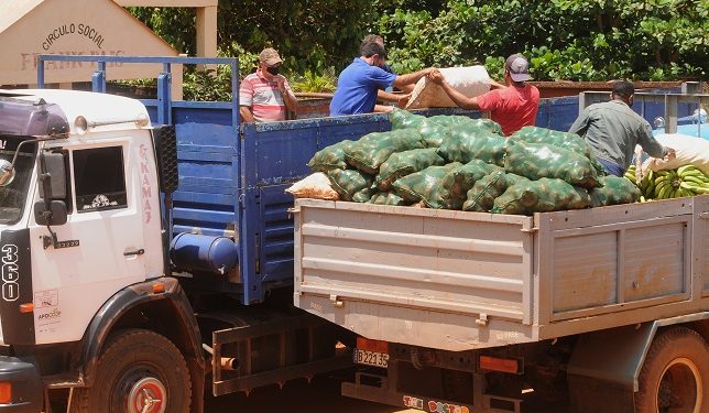 10 toneladas de alimentos (malanga, boniato, yuca, calabaza, ají, aguacate y hortalizas) serán donadas al Hospital Pediátrico de #Matanzas, y al centro de aislamiento enclavado en la Facultad de Ciencias Médicas de esta provincia / Foto: Otoniel Márquez
