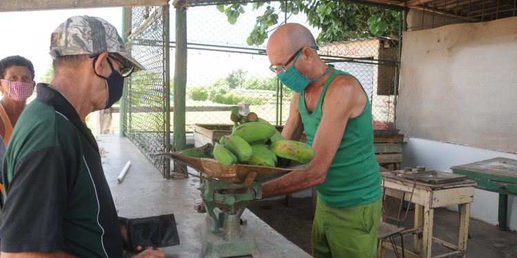 Pobre oferta en el quiosco de la CCS Antonio Maceo / Fotos: Otoniel Márquez