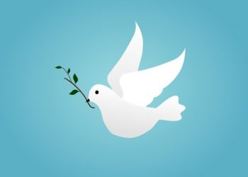 La paz no debe teñirse de caos