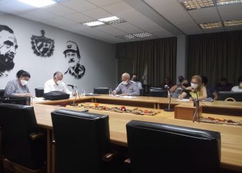 Grupo Temporal de Trabajo. Foto: Daniel Suárez