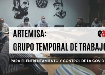 Analiza Grupo Temporal de Trabajo compleja situación epidemiológica