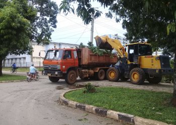 Ciertos daños en viviendas y platanales