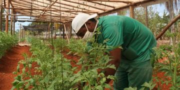 Retos de la nueva política de comercialización en la agricultura