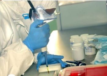 PCR: Laboratorio de Biología Molecular de Mariel | Foto: Otoniel Márquez