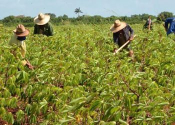 Retos de la nueva política de comercialización en la agricultura