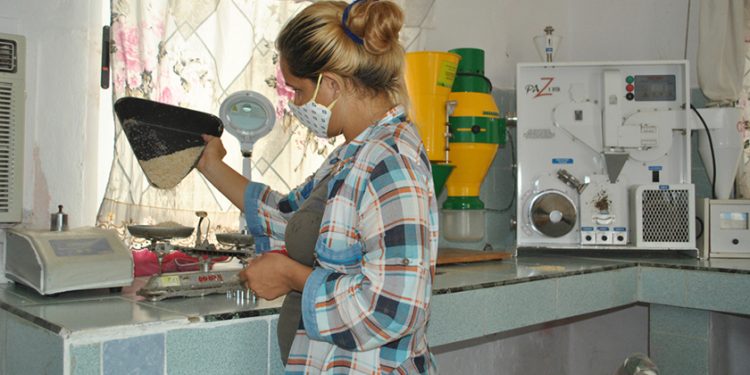 Mucho más que un molino