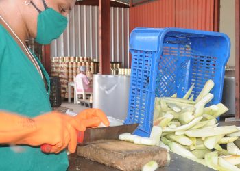 En La Esperanza sienten satisfacción por lo logrado / Fotos: Otoniel Márquez