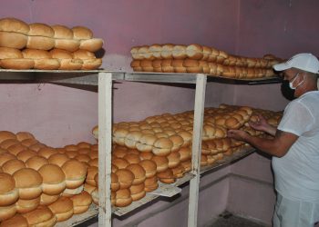 En La Artemiseña saben de la inmensa responsabilidad puesta en sus manos / Foto: Humberto Lister