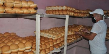 En La Artemiseña saben de la inmensa responsabilidad puesta en sus manos / Foto: Humberto Lister