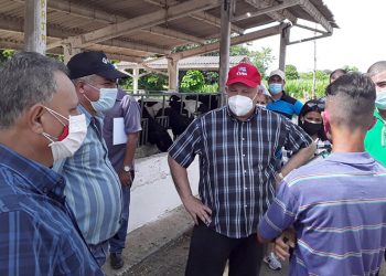 Gestión eficiente para el desarrollo