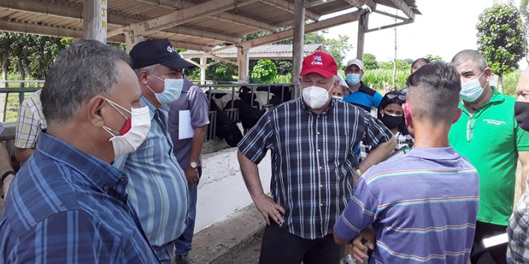 Gestión eficiente para el desarrollo