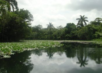A oxigenar, más allá del río