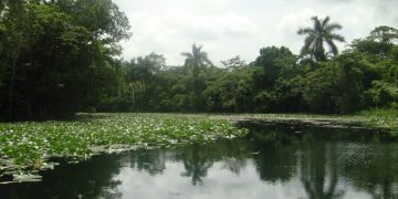 A oxigenar, más allá del río
